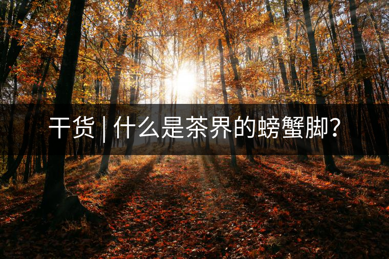 干貨 | 什么是茶界的螃蟹腳？