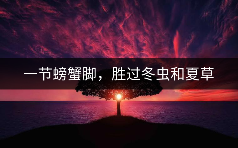 一節(jié)螃蟹腳，勝過冬蟲和夏草