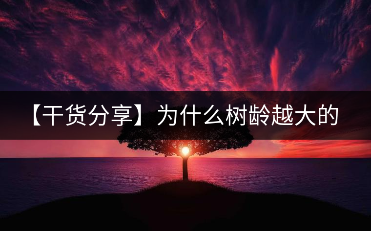 【干貨分享】為什么樹齡越大的普洱生茶，苦味越容易化掉？