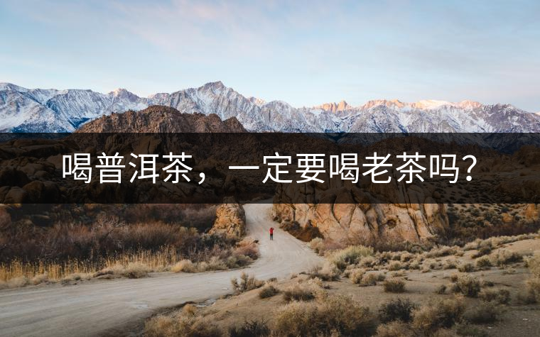 喝普洱茶，一定要喝老茶嗎？