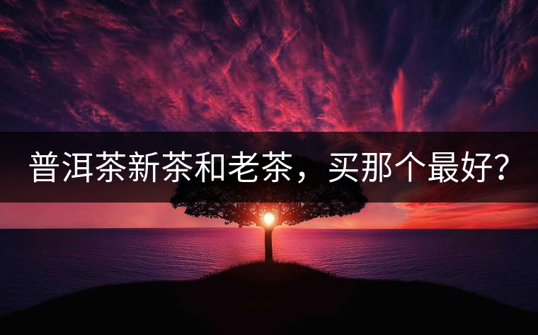 普洱茶新茶和老茶,買那個最好? 普洱茶新茶和老茶,買那個最好?
