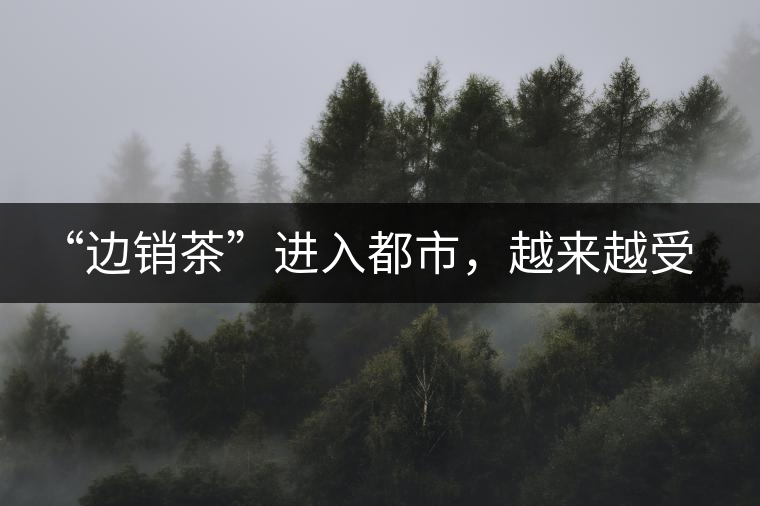 “邊銷茶”進(jìn)入都市，越來越受人們青睞