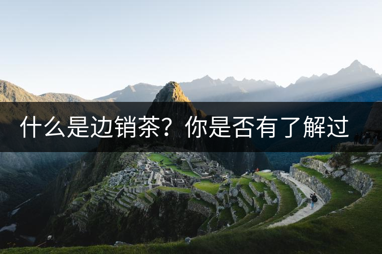 什么是邊銷茶？你是否有了解過邊銷茶呢？