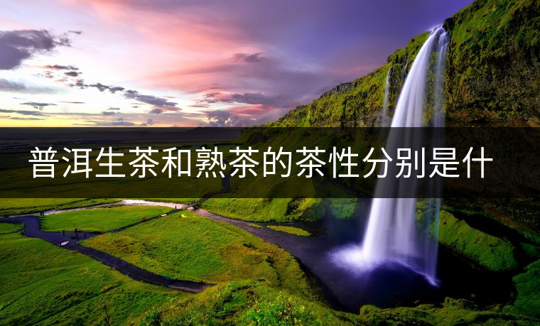 普洱生茶和熟茶的茶性分別是什么？涼性還是熱性？