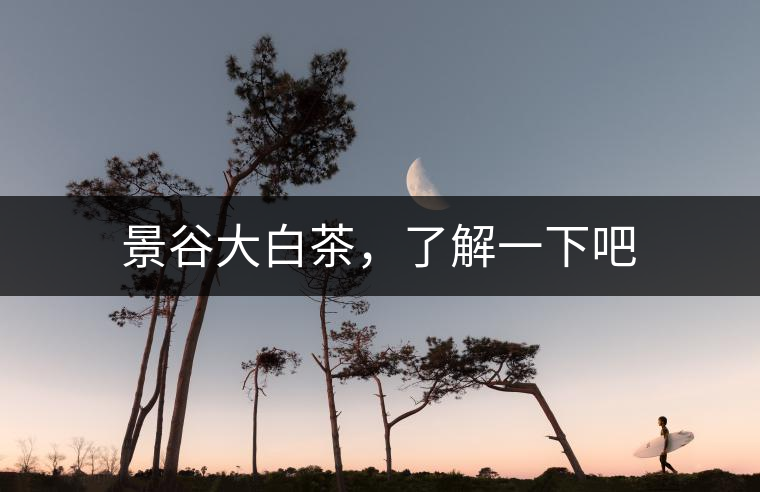 景谷大白茶，了解一下吧