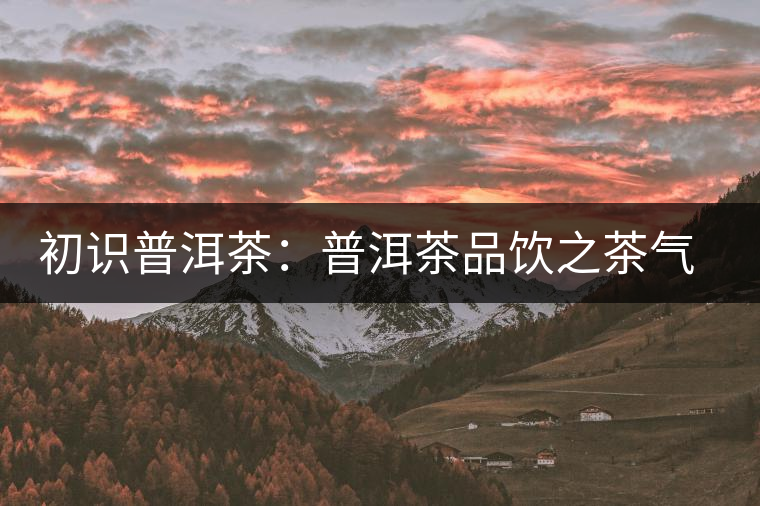 初識(shí)普洱茶：普洱茶品飲之茶氣體驗(yàn)