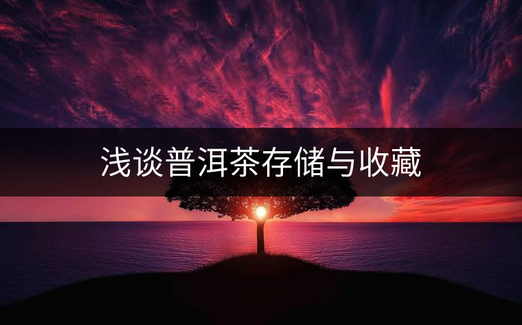 淺談普洱茶存儲與收藏