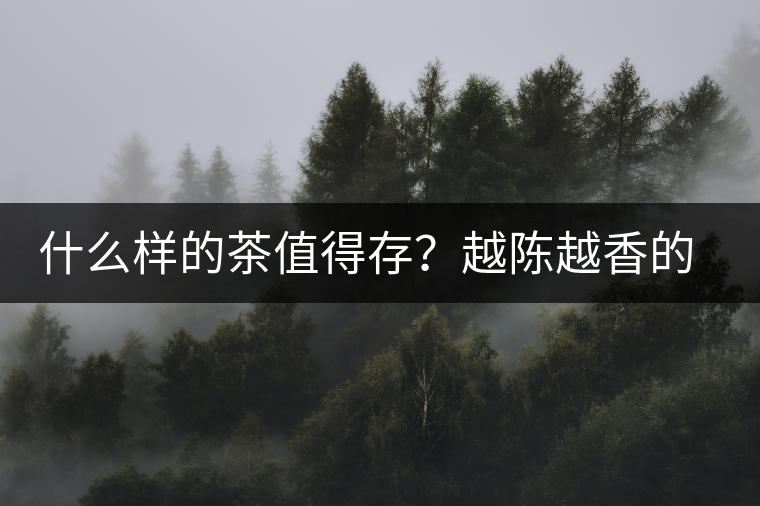 什么樣的茶值得存？越陳越香的本質(zhì)是什么？