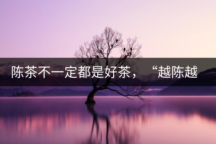 陳茶不一定都是好茶，“越陳越香”也要看茶種類！