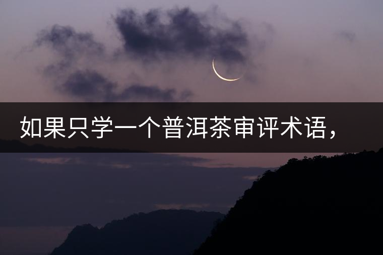 如果只學(xué)一個(gè)普洱茶審評(píng)術(shù)語，那應(yīng)該是什么？