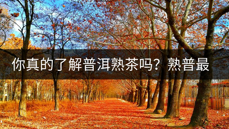 你真的了解普洱熟茶嗎？熟普最詳細的揭秘都在這里了。