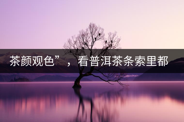 茶顏觀色”，看普洱茶條索里都蘊含著怎樣的“密碼”？