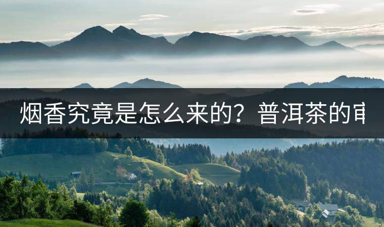 煙香究竟是怎么來(lái)的？普洱茶的審美困局。