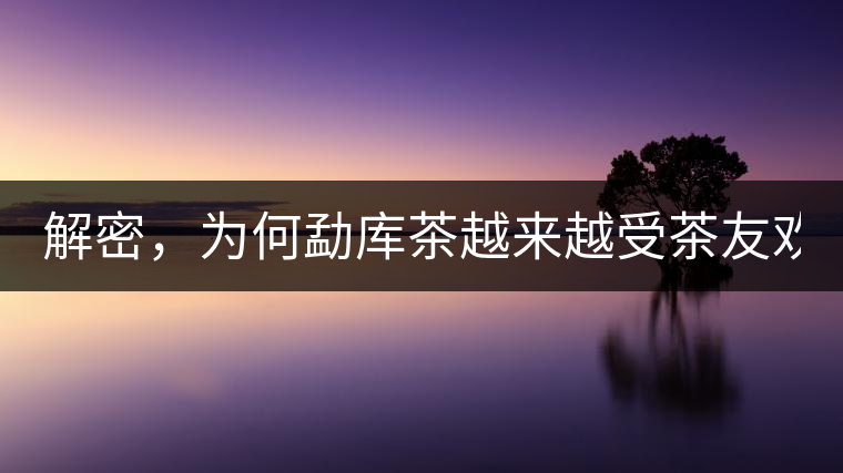 解密，為何勐庫茶越來越受茶友歡迎！