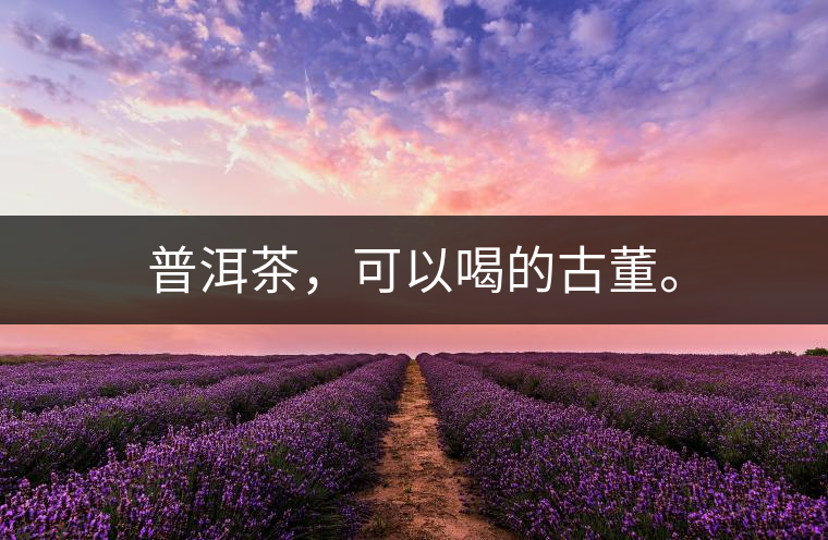 普洱茶，可以喝的古董。