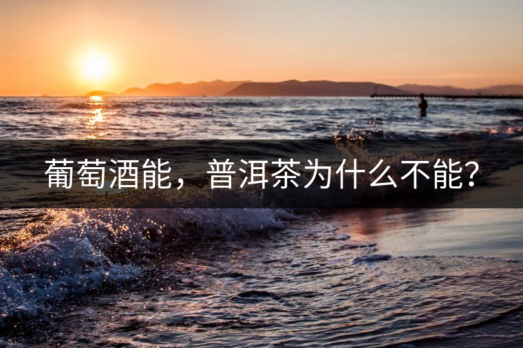 葡萄酒能，普洱茶為什么不能？