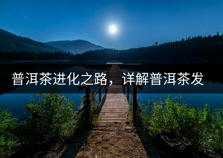 普洱茶進化之路，詳解普洱茶發(fā)展的三大重要階段