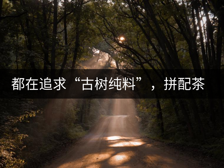 都在追求“古樹純料”，拼配茶真的不如純料的？
