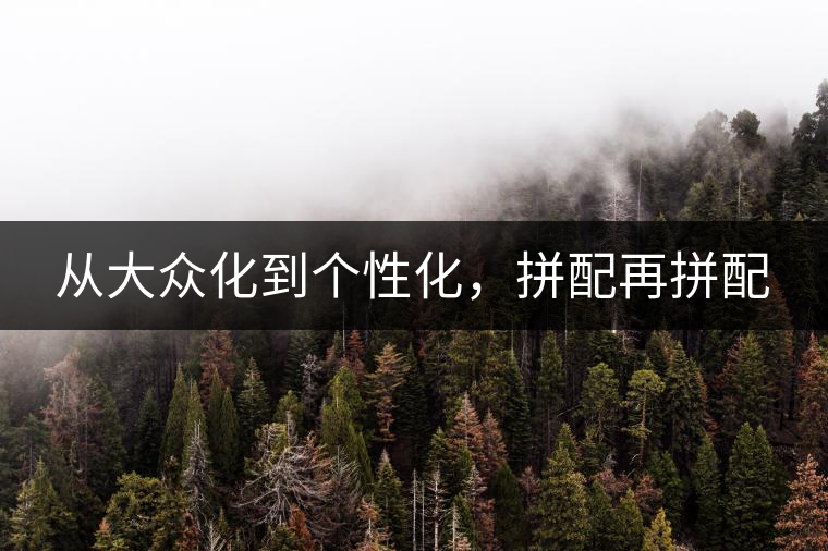 從大眾化到個性化，拼配再拼配