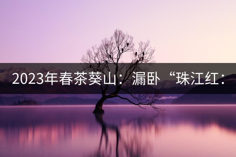 2023年春茶葵山：漏臥“珠江紅：1200元-3200元（有3個檔次）漏臥“大廠茶”：古樹單株8600-9000元／公斤，中樹4800-5200元／公斤，小樹混采2600-2800元／公斤。