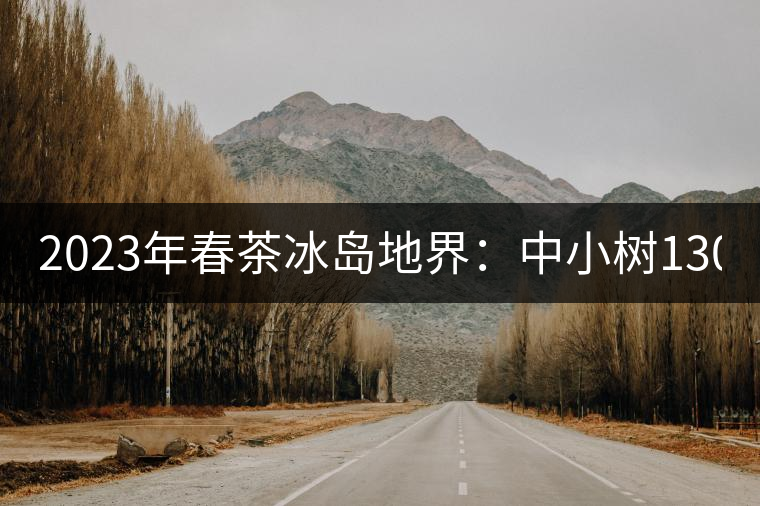 2023年春茶冰島地界：中小樹(shù)1300-1500元／公斤，古樹(shù)2200~2500元／公斤