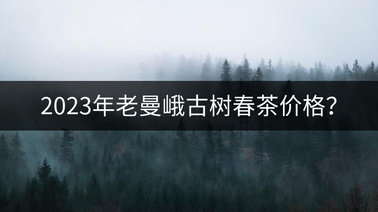 2023年老曼峨古樹春茶價(jià)格？