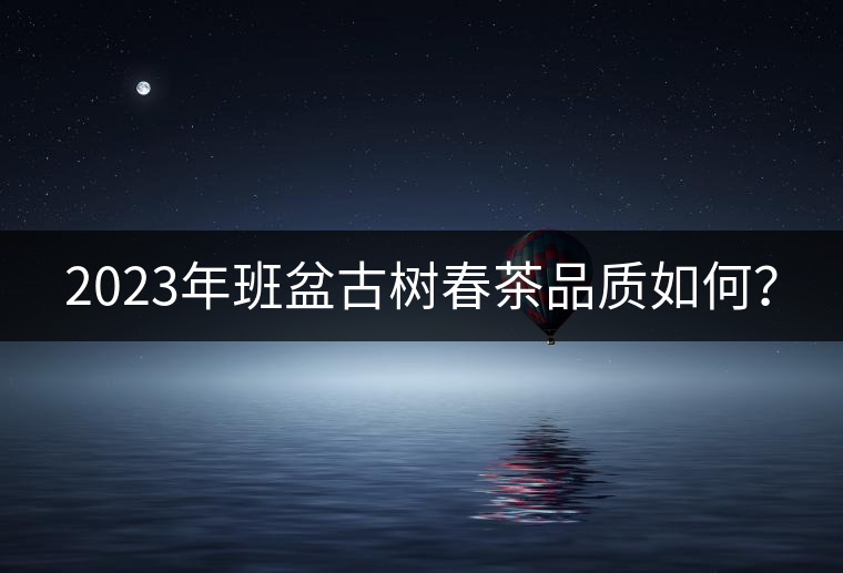 2023年班盆古樹(shù)春茶品質(zhì)如何？