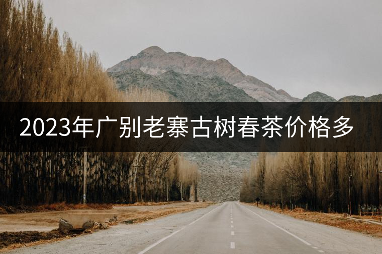 2023年廣別老寨古樹春茶價格多少？