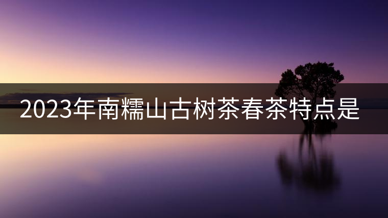 2023年南糯山古樹(shù)茶春茶特點(diǎn)是什么？