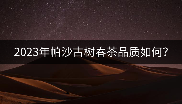 2023年帕沙古樹春茶品質(zhì)如何？