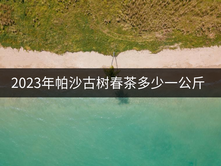 2023年帕沙古樹春茶多少一公斤？