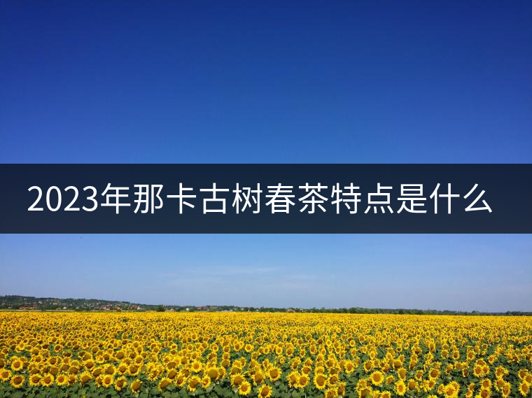 2023年那卡古樹春茶特點(diǎn)是什么？