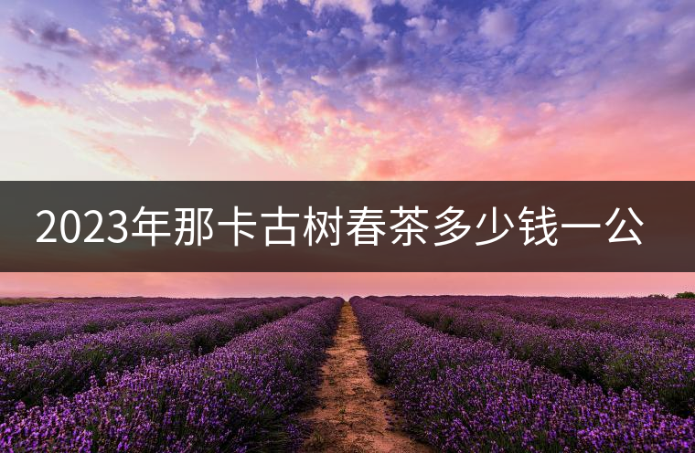 2023年那卡古樹春茶多少錢一公斤？