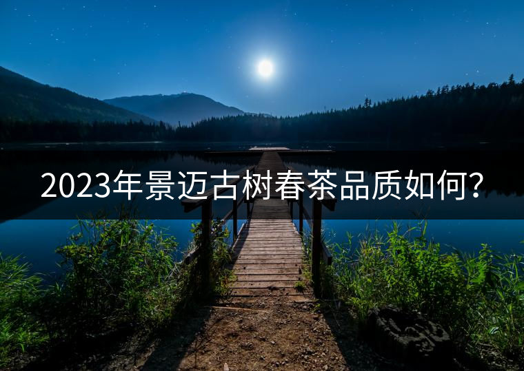 2023年景邁古樹春茶品質(zhì)如何？