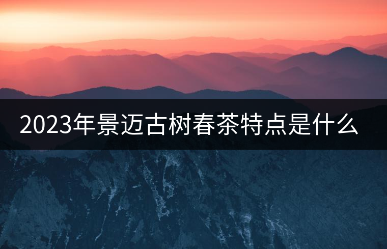 2023年景邁古樹春茶特點(diǎn)是什么？