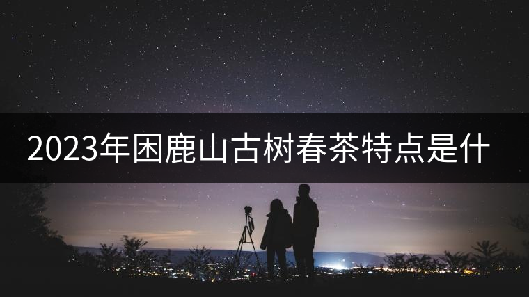 2023年困鹿山古樹(shù)春茶特點(diǎn)是什么？