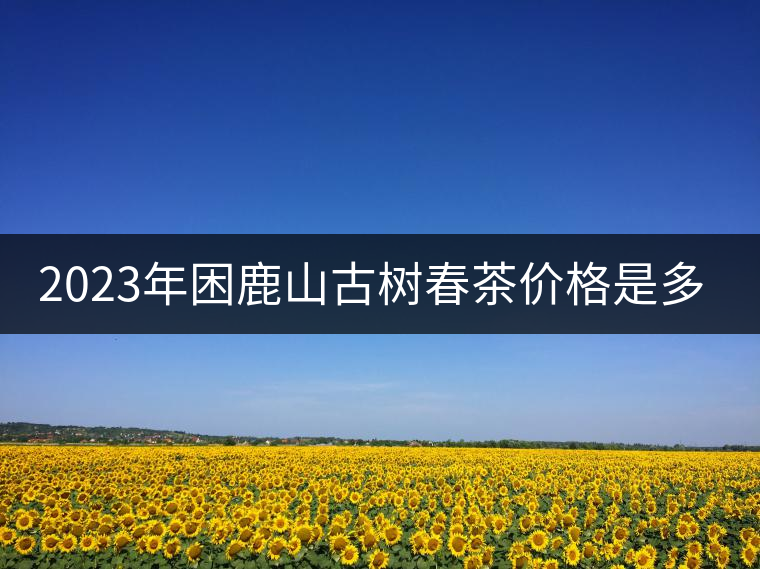 2023年困鹿山古樹春茶價(jià)格是多少？