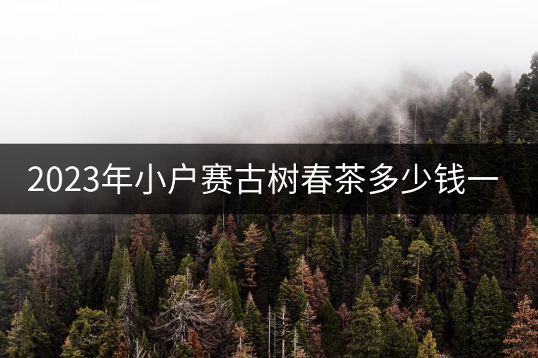 2023年小戶賽古樹春茶多少錢一公斤？