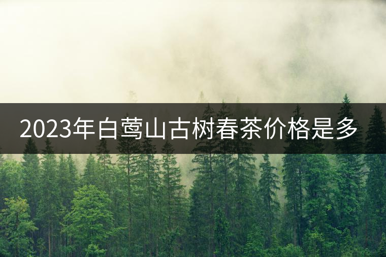 2023年白鶯山古樹春茶價格是多少？