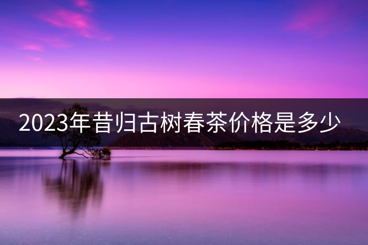 2023年昔歸古樹春茶價(jià)格是多少？