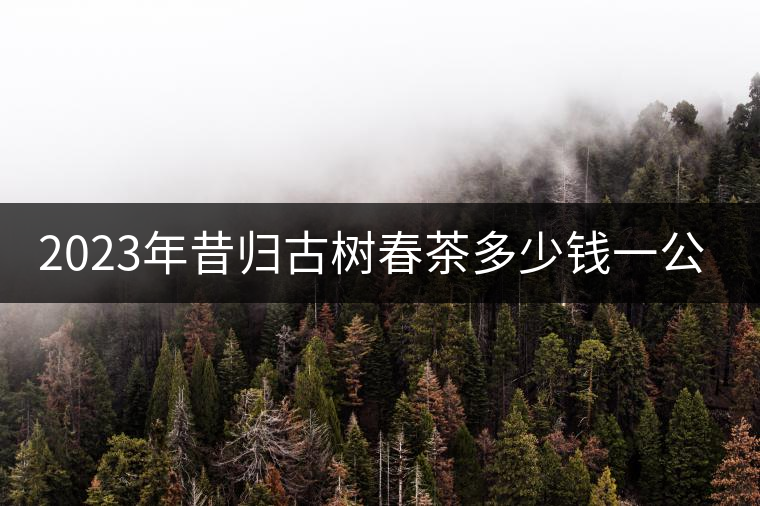 2023年昔歸古樹(shù)春茶多少錢一公斤？