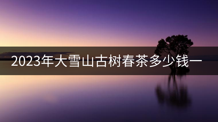 2023年大雪山古樹春茶多少錢一公斤？