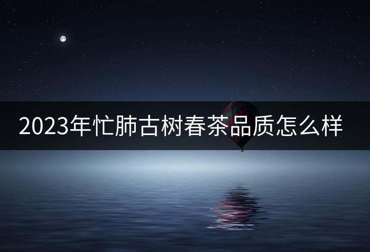 2023年忙肺古樹春茶品質(zhì)怎么樣? 2023年忙肺古樹春茶品質(zhì)怎么樣?