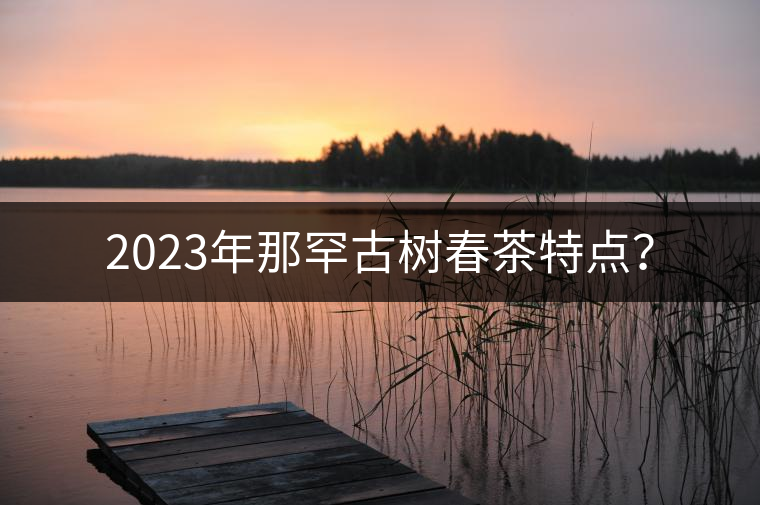 2023年那罕古樹(shù)春茶特點(diǎn)？