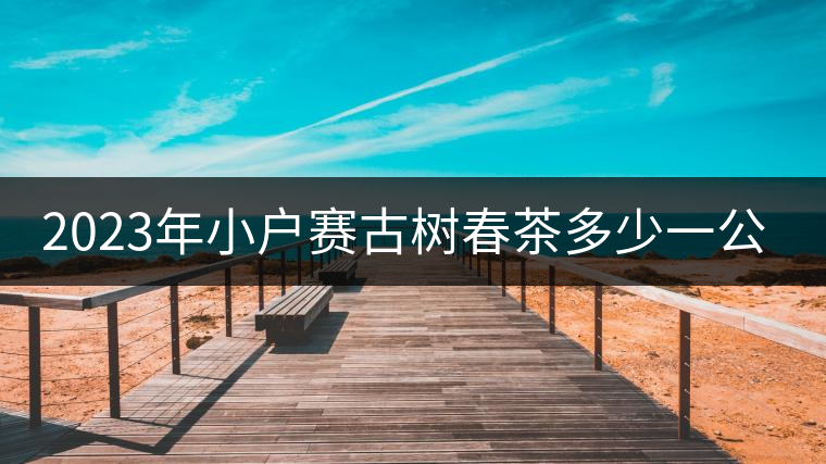 2023年小戶賽古樹春茶多少一公斤？