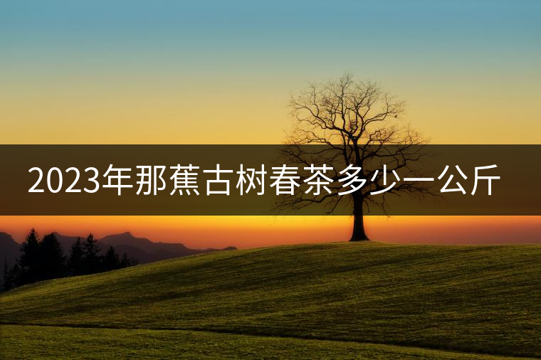 2023年那蕉古樹春茶多少一公斤？