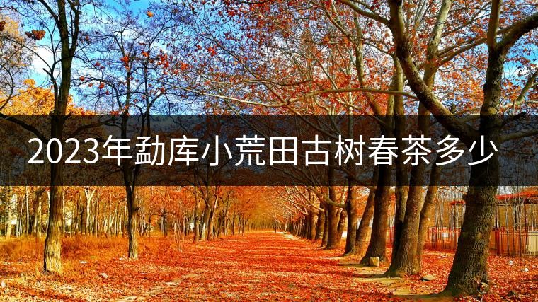 2023年勐庫小荒田古樹春茶多少一公斤？