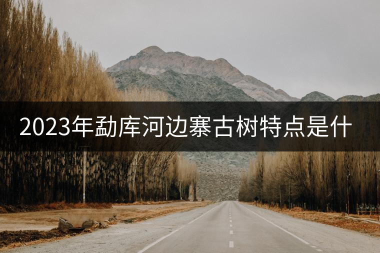 2023年勐庫(kù)河邊寨古樹特點(diǎn)是什么？