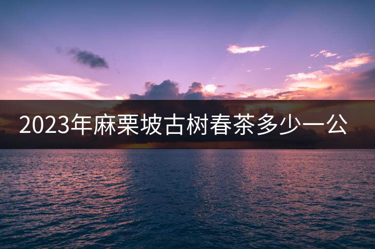 2023年麻栗坡古樹春茶多少一公斤？