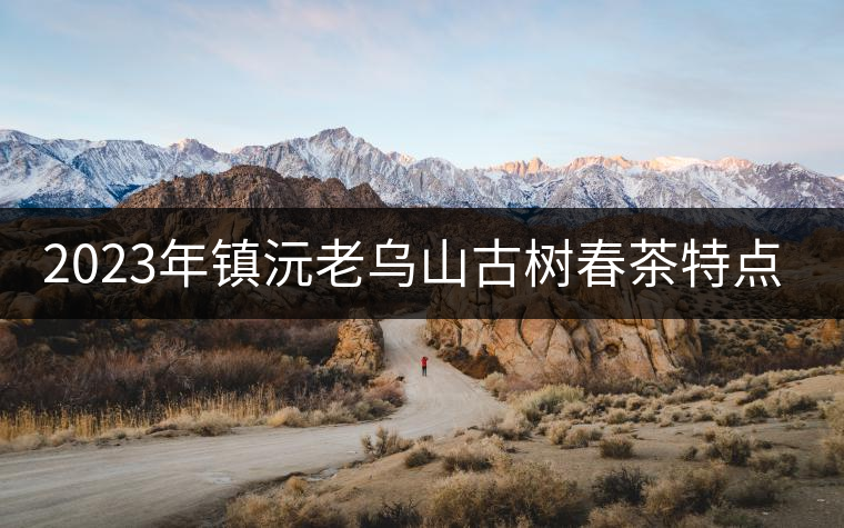 2023年鎮(zhèn)沅老烏山古樹春茶特點是什么？